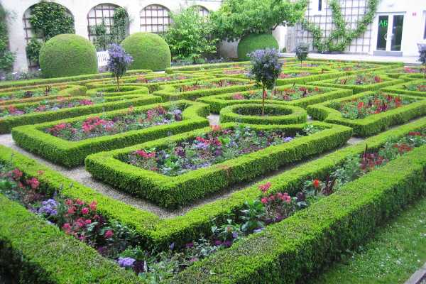 Errores frecuentes al podar árboles y arbustos